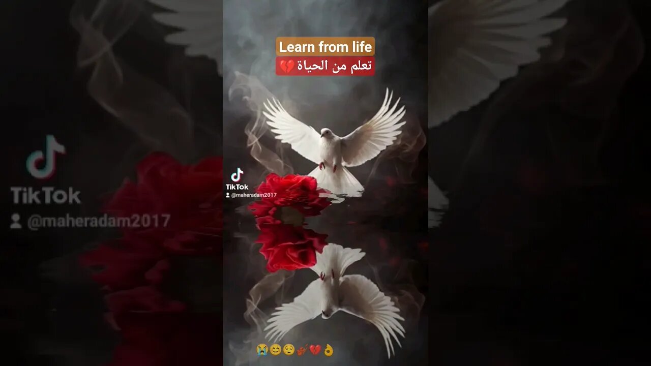 #الحياة_الواقعيه #sunrise #الامل #يوم_جديد #الحب #love #flowers #birds