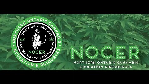 CBD Sunday on the IWK Daily Sesh with Nicole