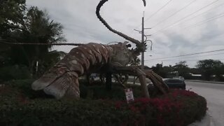 GIANT LOBSTER/ISLAMORADA FLORIDA KEYS