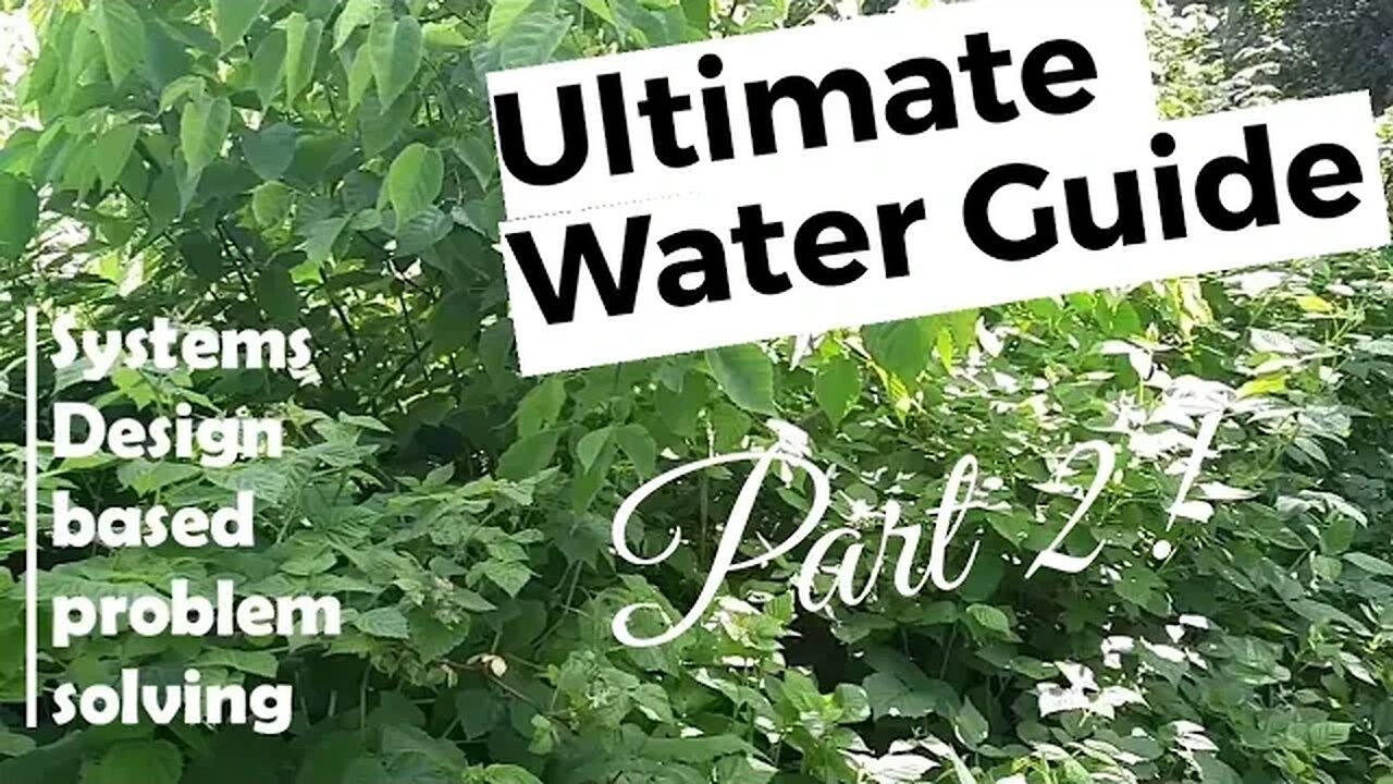 Ultimate food forest garden watering guide - part 2