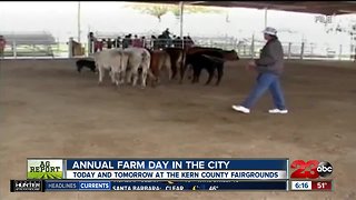 Farm Day in the City 2019