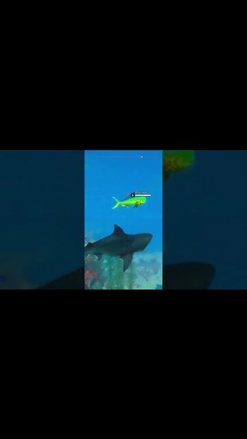 maneater now that I've completed the tutorial, the real game begins