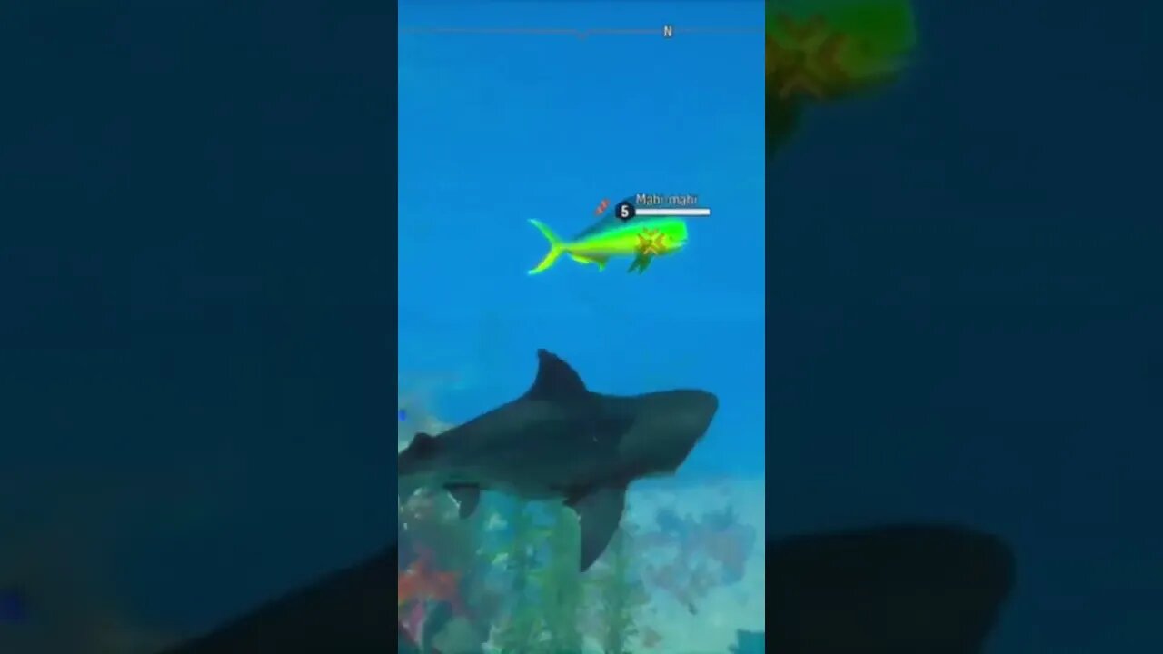 maneater now that I've completed the tutorial, the real game begins