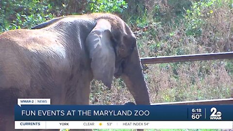 Autumn festivities at The Maryland Zoo