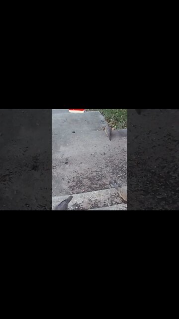 An Ugly Christmas Sweater Visits #Shorts 🎄