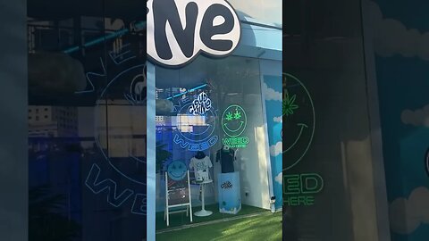 Weed in Bangkok | Thailand | Cloud 9 Bangkok |