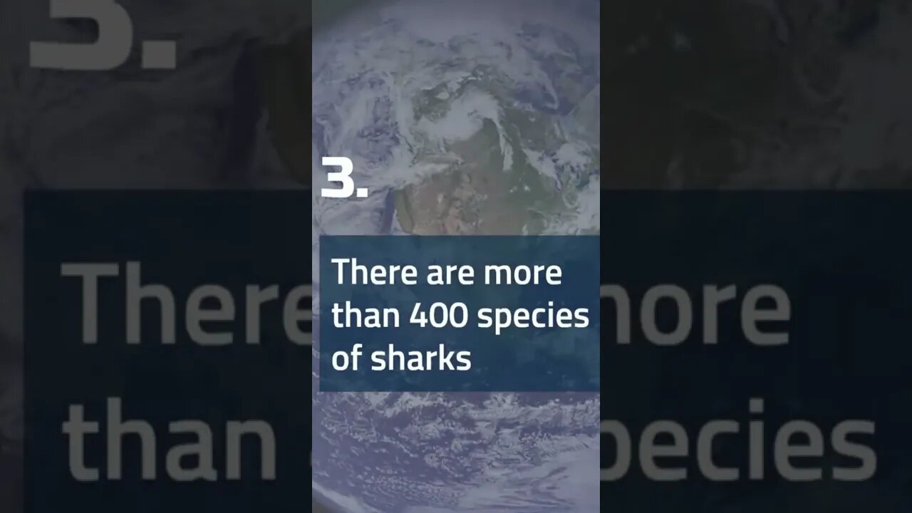 Mainly #facts something you know ! #shorts