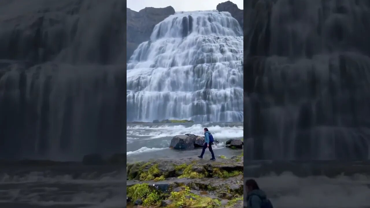 Relaxing Video