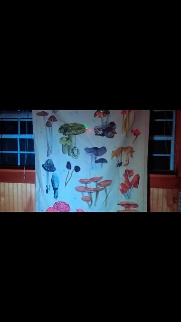 Tiny House Tour. Off Grid Cabin Interior Design. Wild Mushroom Tapestry #shorts