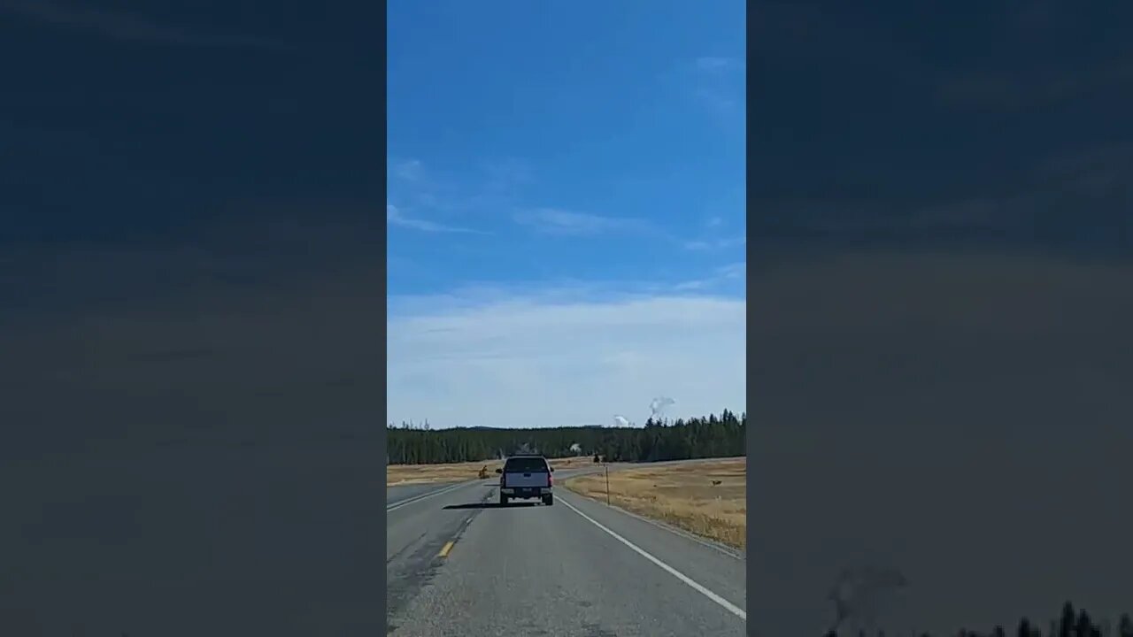 Driving in Yellowstone