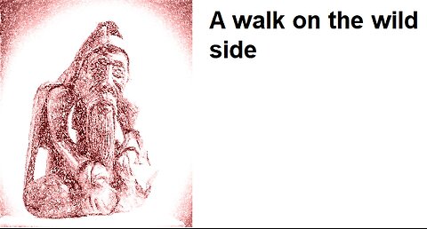 The Spiritual Universe is Wild!
