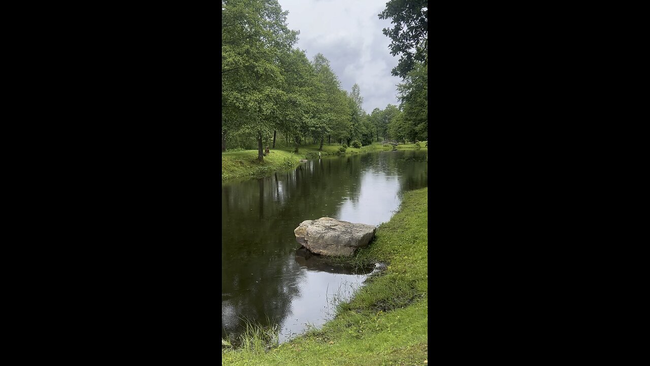 A pond in the Swedish forest