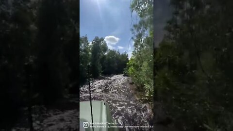 Drowning Ford Bronco through Jungle Cruise