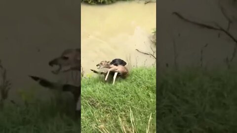 Helping nature 😍
