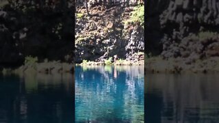 Cliff Jumping Blue Pool, Oregon