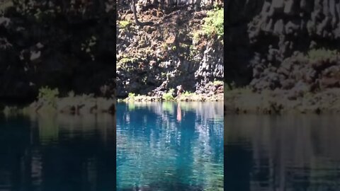 Cliff Jumping Blue Pool, Oregon