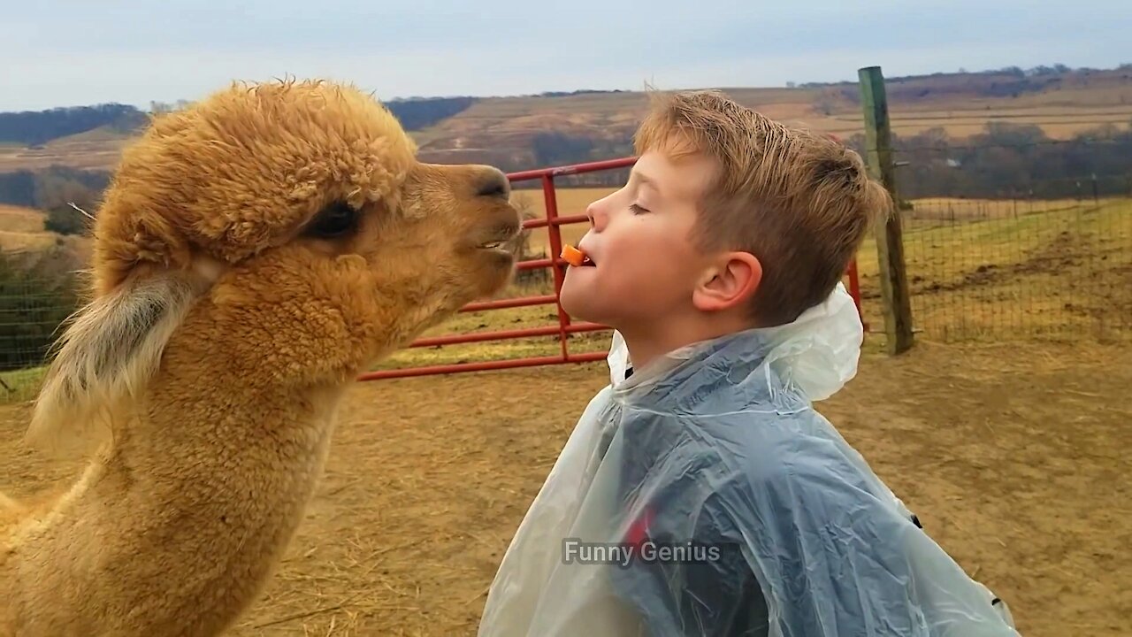 TRY NOT TO LAUGH - Funny Babies At The Zoo