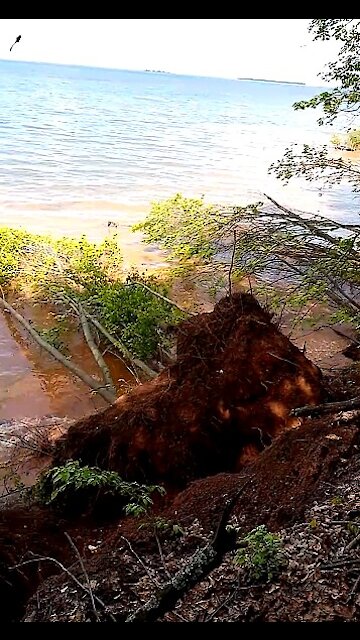 The collapse of the shore