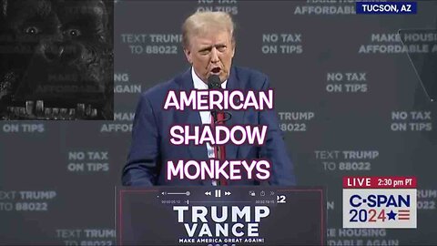 American Shadow Monkeys