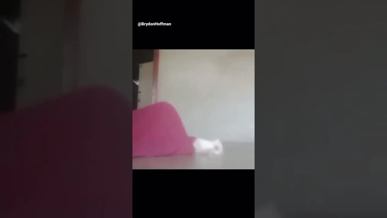 Funny Cat Meme 😂 pt.19 #shorts