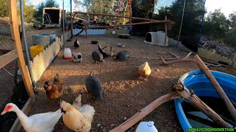 She says it's Farm life I say it's Fu■k■d