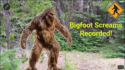 Bigfoot yell?