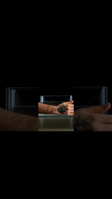 Quanta Aulas Online +5547996442089 +351965823710 #experimento #fisica #aulasonline #homeschooling