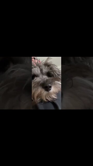 Just completed 5 hours recording! 3 hours editing of the 3rd Sep HyperCommunity Meeting Coming Soon!