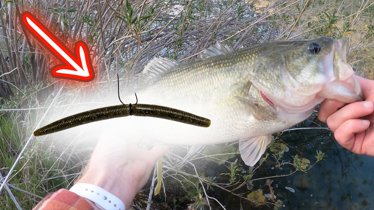 You'll Never Fish A Senko The Same After Seeing This