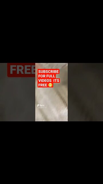 what's that racket #shorts