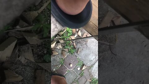 Dangerous Trash Tools