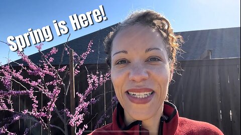 March Landscape Tour-Natives versus Nonnatives! #gardeningforbeginners #texasgardening