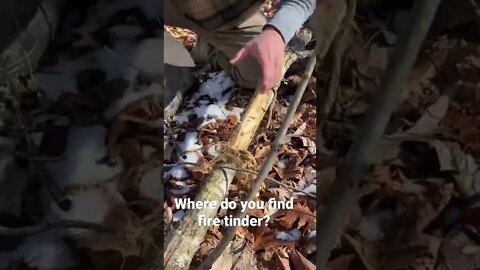 Fire Tinder! Learn more at https://naturereliance.kartra.com/page/nrs-membership-01