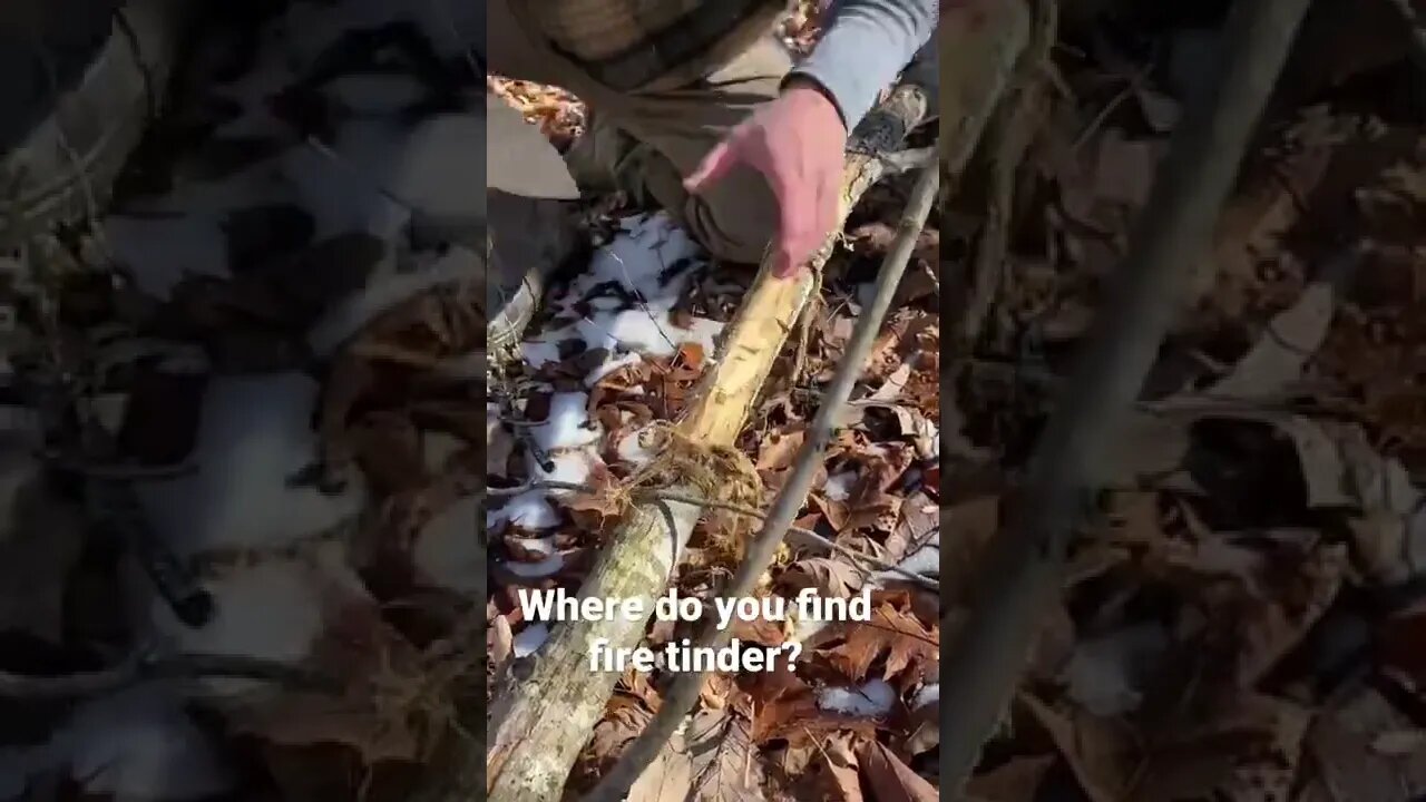Fire Tinder! Learn more at https://naturereliance.kartra.com/page/nrs-membership-01
