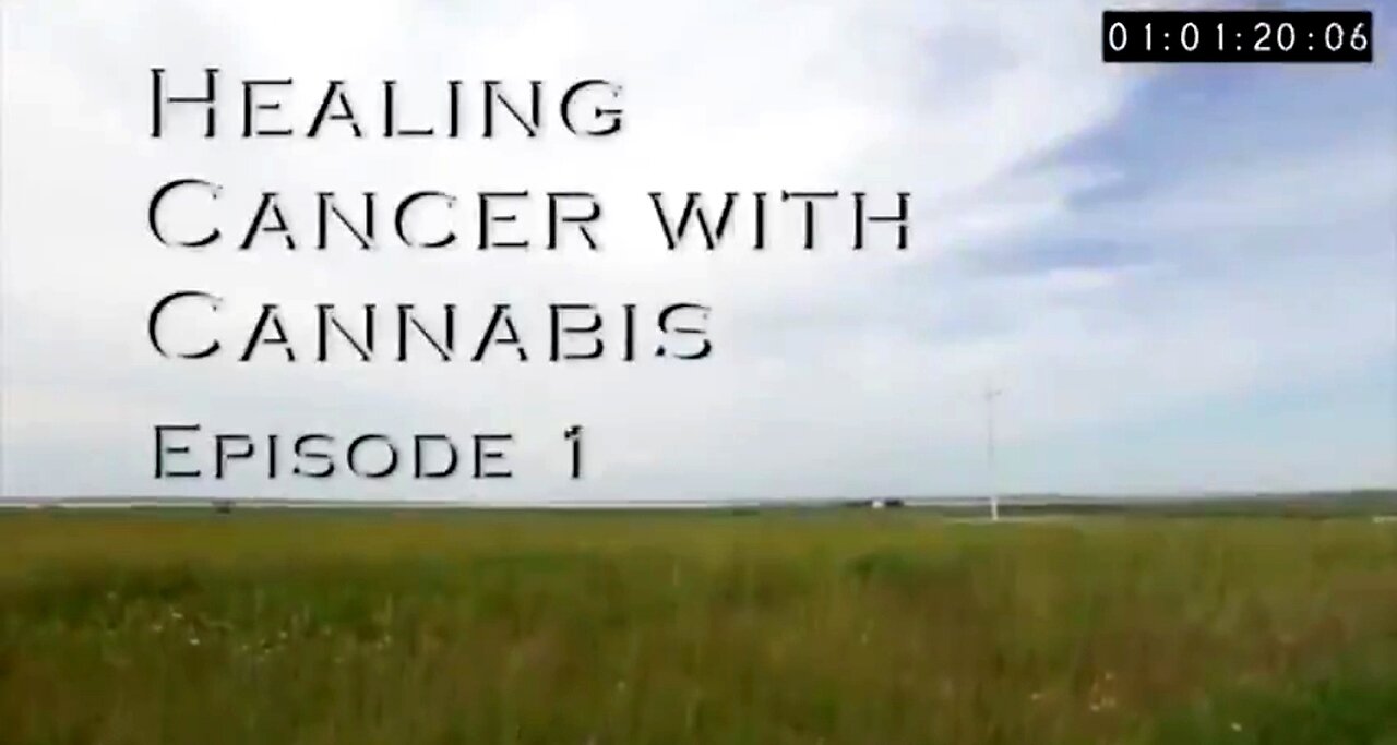 THE RICK SIMPSON STORY - HEALING CANCER WITH CANNABIS! 💯