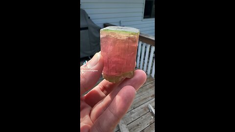 Green Cap Rubellite Tourmaline crystal from southern California