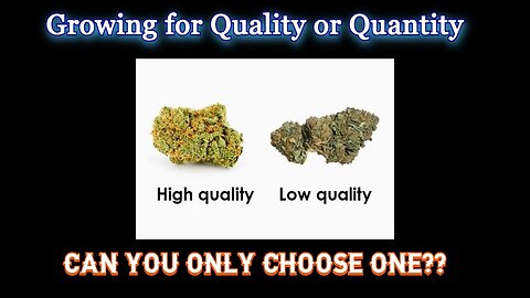 Growing for Quality or Quantity | Why not BOTH? | High vs Low PPFD | Labs, Studies, Theory's