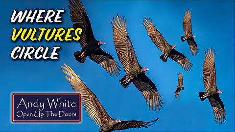 Andy White: Where Vultures Circle
