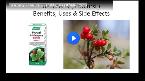 Bearberry - Uva ursi - Benefits, Uses & Side Effects