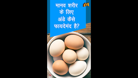 अपने रोजमर्रा के भोजन मे एक बार अंडे का सेवन करने के टॉप 4 स्वास्थ्य लाभ
