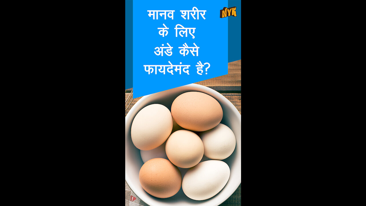 अपने रोजमर्रा के भोजन मे एक बार अंडे का सेवन करने के टॉप 4 स्वास्थ्य लाभ