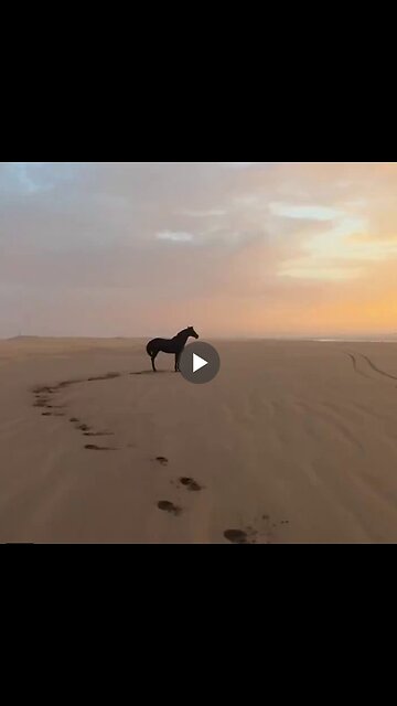 What is called freedom ...