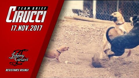 CTB 2017-11-17 Run with the Big Dogs or Stay on the Porch!