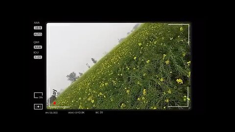 la la 🤣🥰🤗shorts,#shorts,joke fun shorts,minecraft shorts,short,joke fun shorts youts #shorts