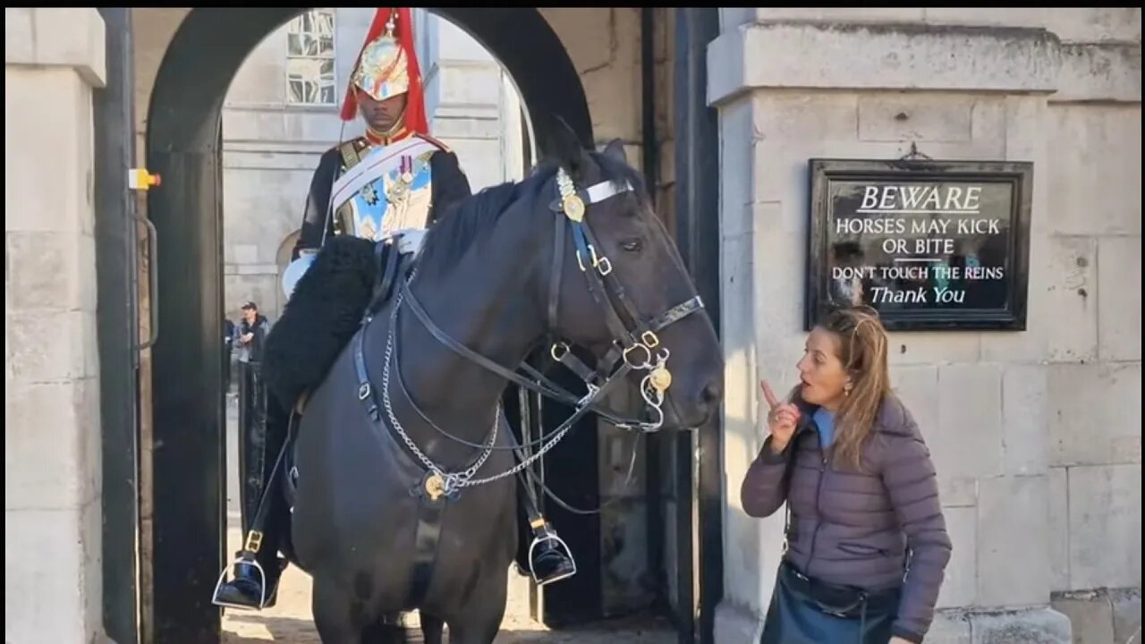 Why why why tourist ask horse why you bite #horseguardsparade