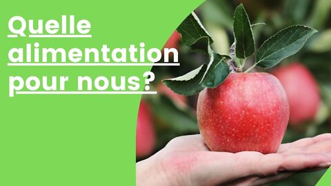 Quelle alimentation pour l'être humain éveillé ?