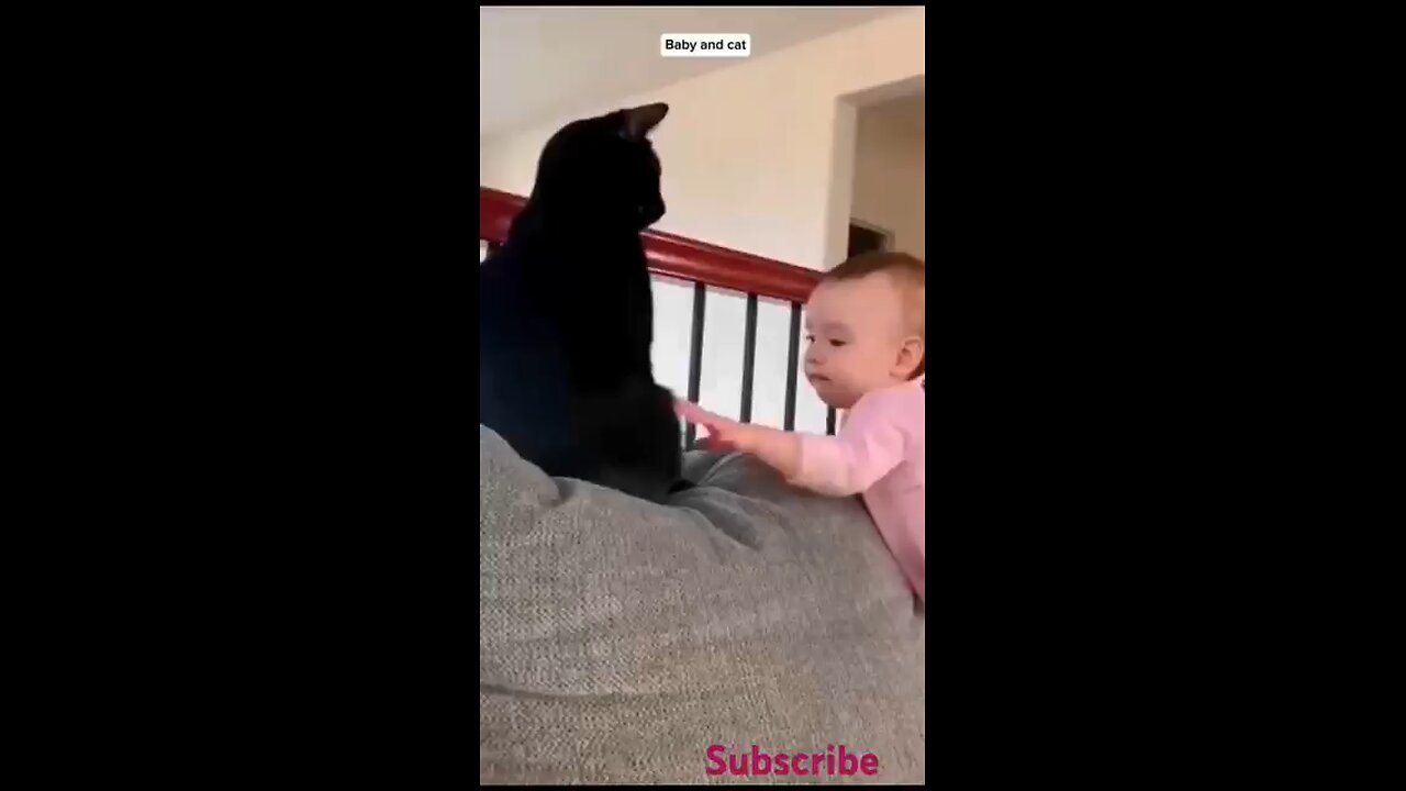 Adorable Duo: Baby and Cat Moments