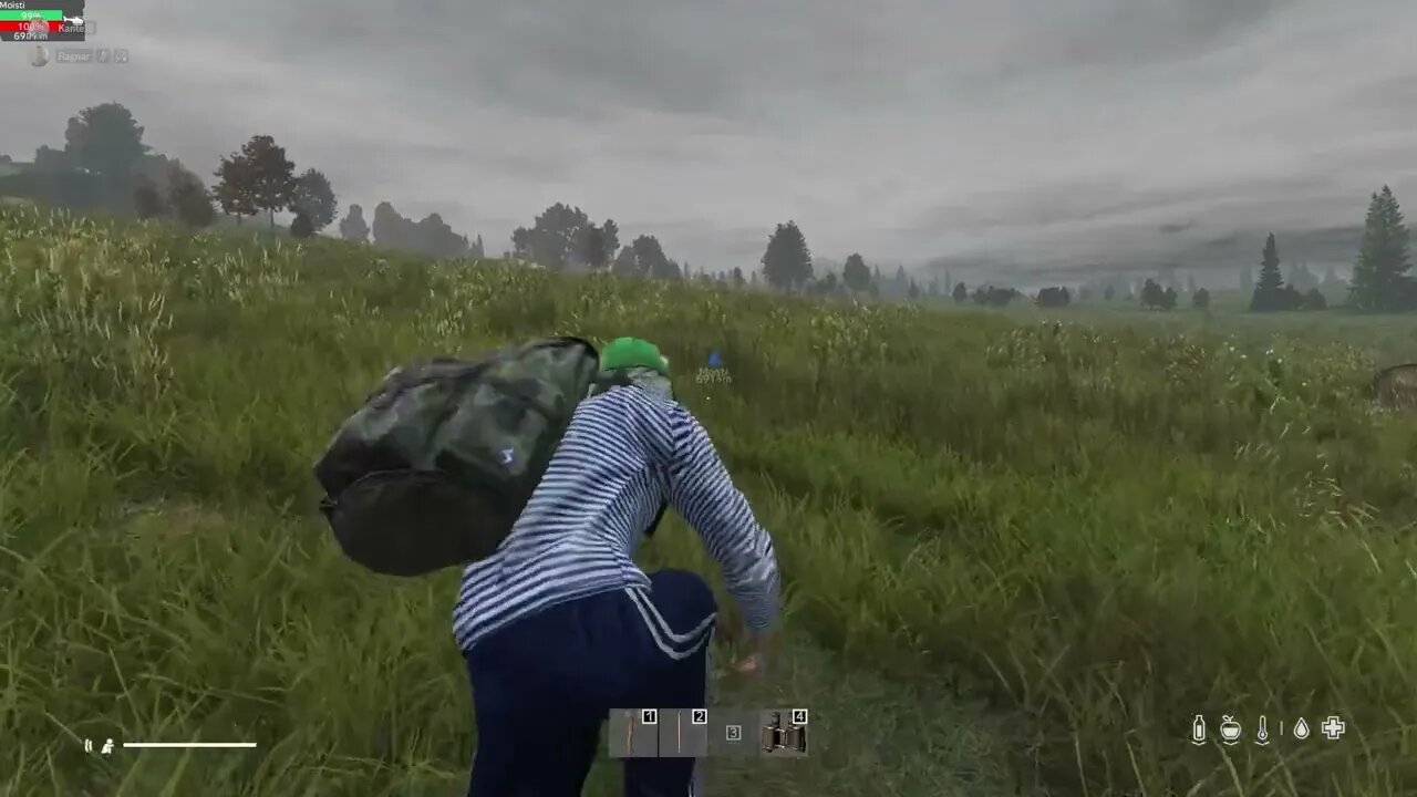 DayZ - 109 | #VerbindeDiePunkte 797 - Frühlingsgefühle | !newvid !discord (DEUTSCH LIVE HD) 26.04.