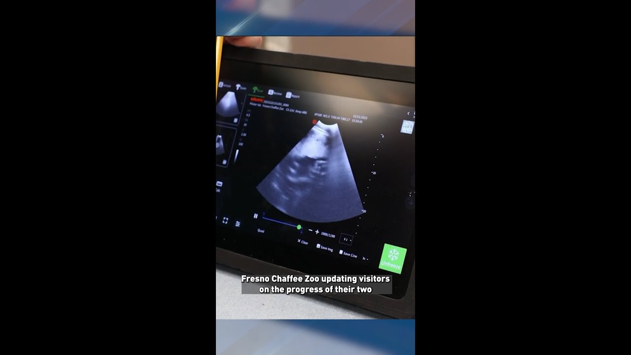 A zoo in California has released an ultrasound elephant into the wild