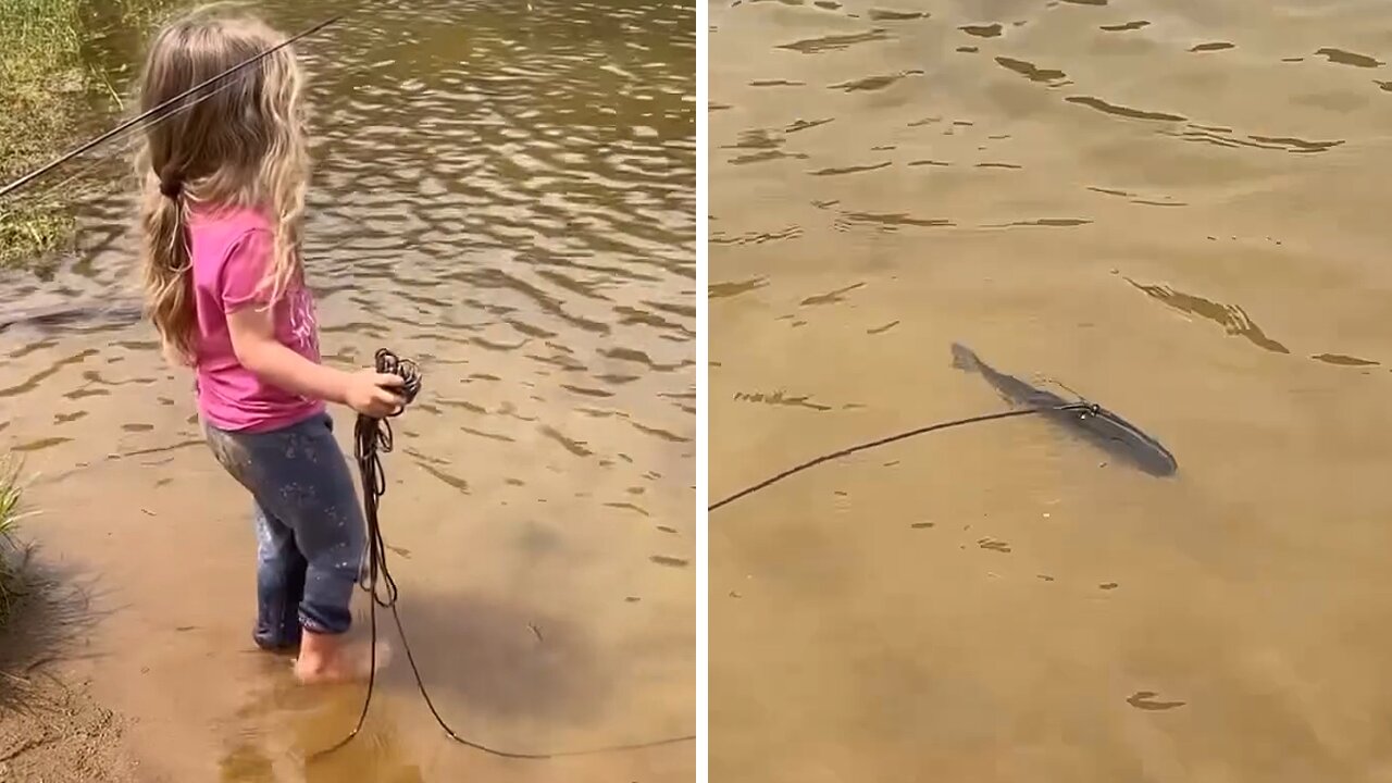 Little Girl Is Taking Her Pet Fish For A Walk